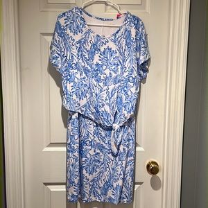 Blue Lilly dress.